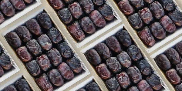 تصویر 5 از قیمت خرید خرمای مضافتی ایران + فروش ویژه
